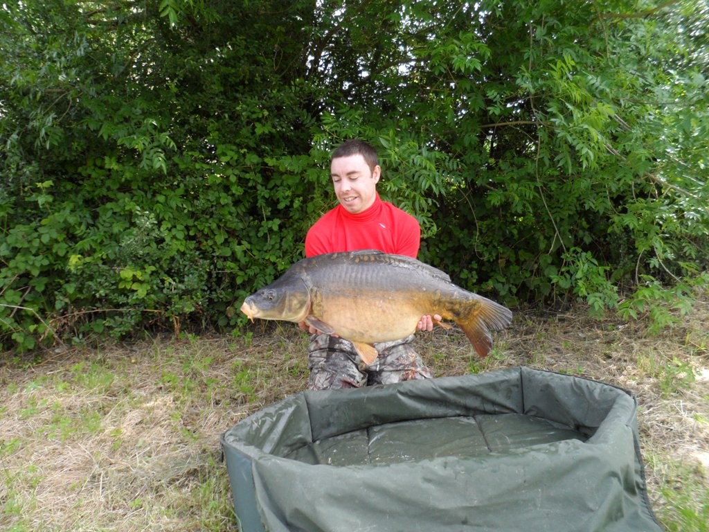 carpe rivière 